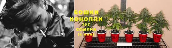 бошки Алзамай