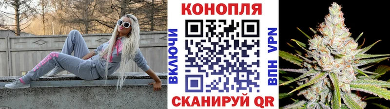 дарнет шоп  Родники  Бошки марихуана OG Kush 